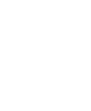 Ace Link Armor logo