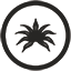 Agave Denim logo