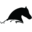 Annie's Equestrienne Apparel logo