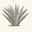 arubaaloe logo