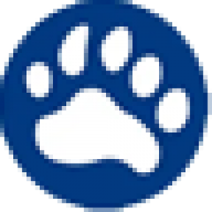 Bear Paddle Swim School logo