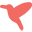 Birddogs logo