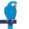 Blue Parrott logo