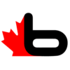 Bsaunas logo