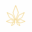 Canna Express logo