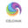 Celchuk logo