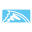 Chasing Fin logo