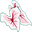 Classic Caladiums logo
