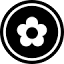 Daisy Grace logo