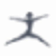 Danskin logo