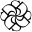 Derma Solution logo