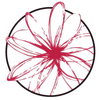 Dr Selassie logo