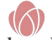 Dressed To Deliver logo