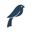 Edloe Finch logo