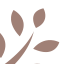 Evy'S Tree logo