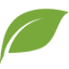 Exposed Skincare logo