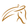 Gallop Store logo