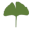 Ginkgo Health Shop logo