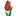 Holland Bulb Farms logo