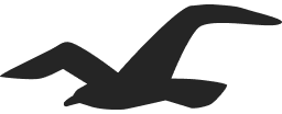 Hollister logo