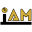 iamBeachTennis logo