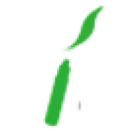 IECIGBEST logo