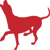 Joe Stamm Band logo