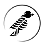 KC Aerial Arts logo