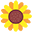 Lilicloth logo
