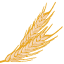 LuckyVitamin logo