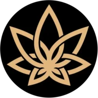 3CHI logo