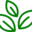 Nusyn Life logo