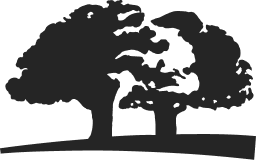 Origins logo