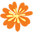Outdoor Divas logo