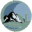 Pacific Grass logo