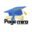 Pagemira logo