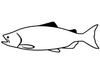 Papa's Catch Salmon logo