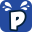 Pool Patch Products logo