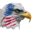 Prime USA Scales logo
