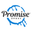 Promise Epoxy logo