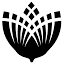 Pure Parima logo