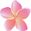 Pure Fiji logo