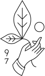 Rishi Tea & Botanicals logo