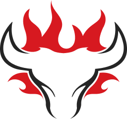 Schwank Grills logo