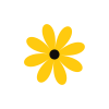 Sedona Aromatics logo