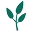 Send Plants logo