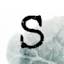 Sense Writing logo