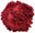 Shabbos Brushups logo