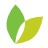 Shaw's logo