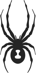 Spyder logo